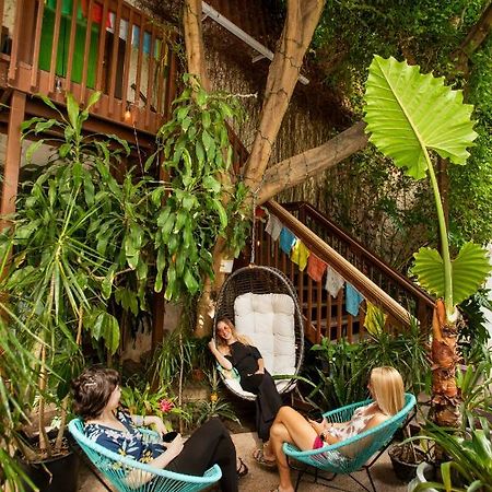 Solarium Colorado Hotel Fort Collins Exterior foto